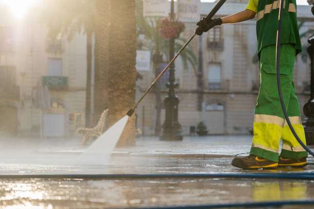 Best Roof Washing  in Goliad, TX